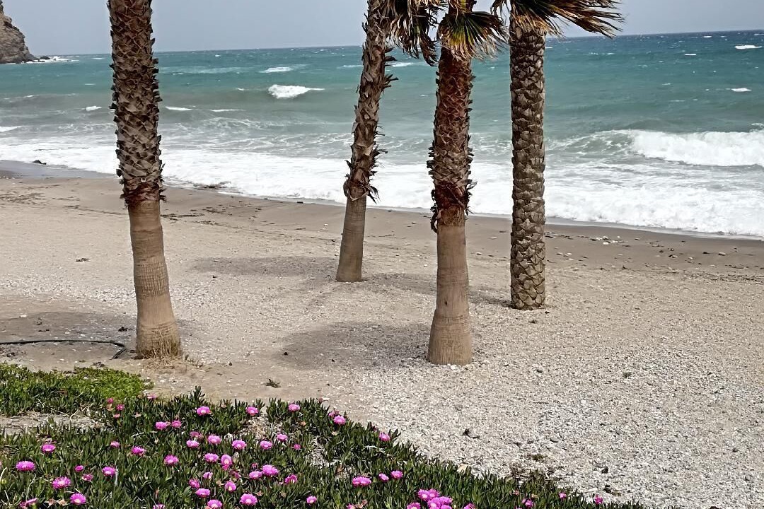 Photo of Others in Carboneras