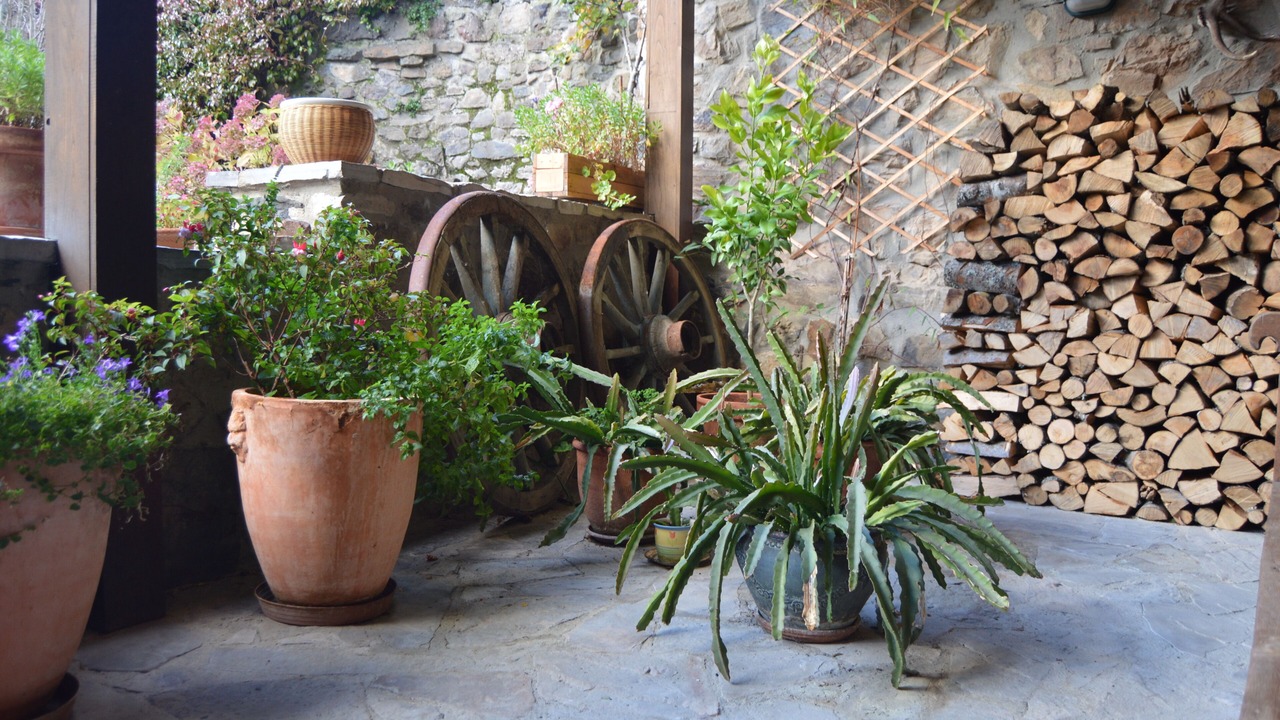 Photo of Outdoor in Basieda