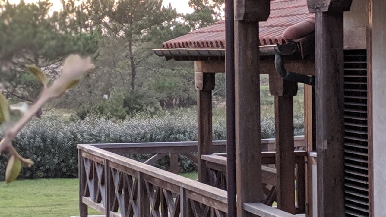 Photo of Outdoor in Somo