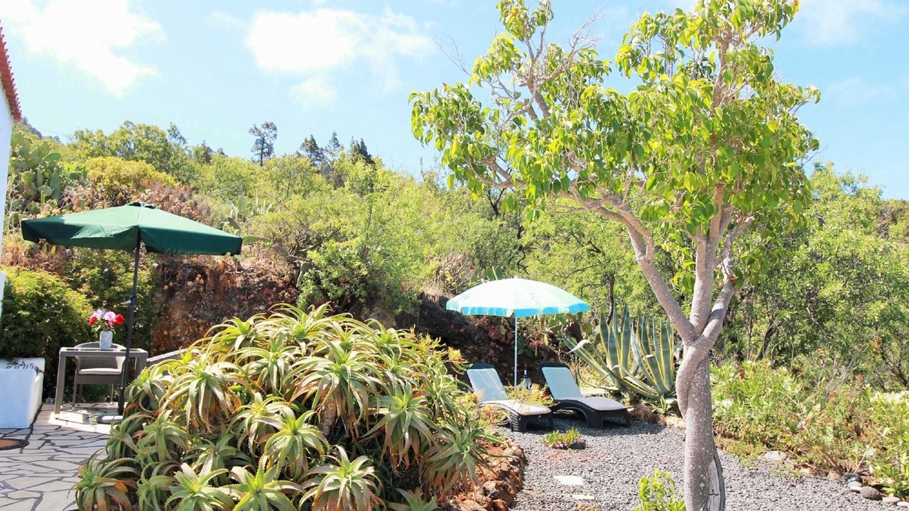 Photo of Patio Balcony in Las Tricias