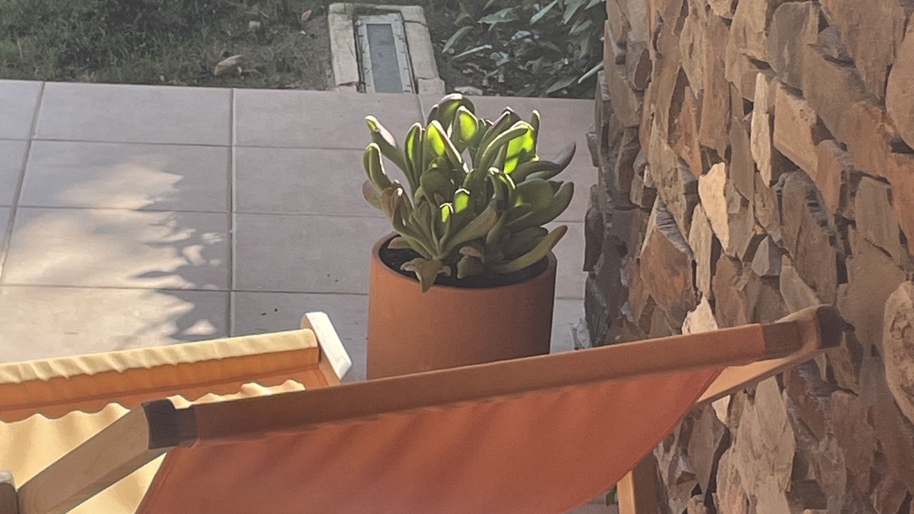 Photo of Patio Balcony in Vera
