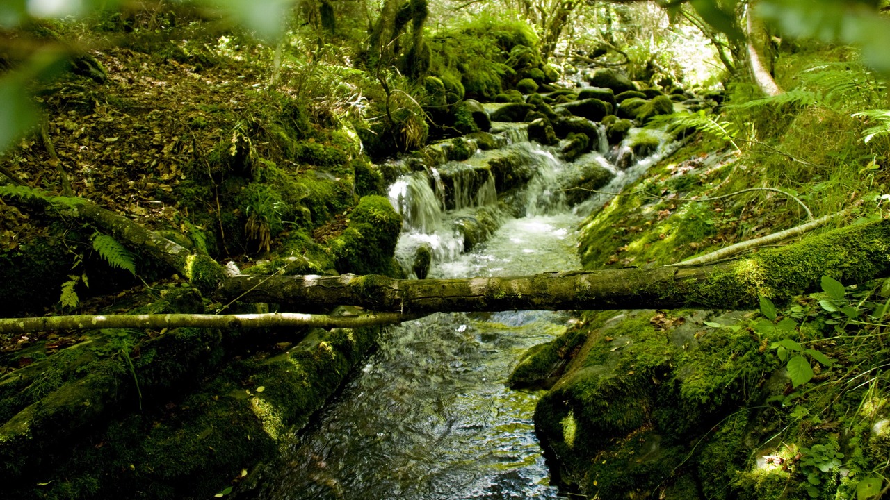 Photo of Outdoor in Fresneda de la Tiron