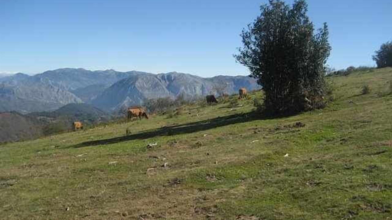 Photo of Outdoor in Vigidel