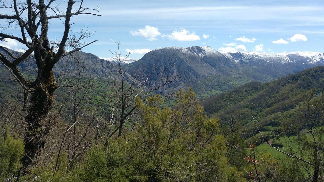 Photo of Outdoor in Vigidel