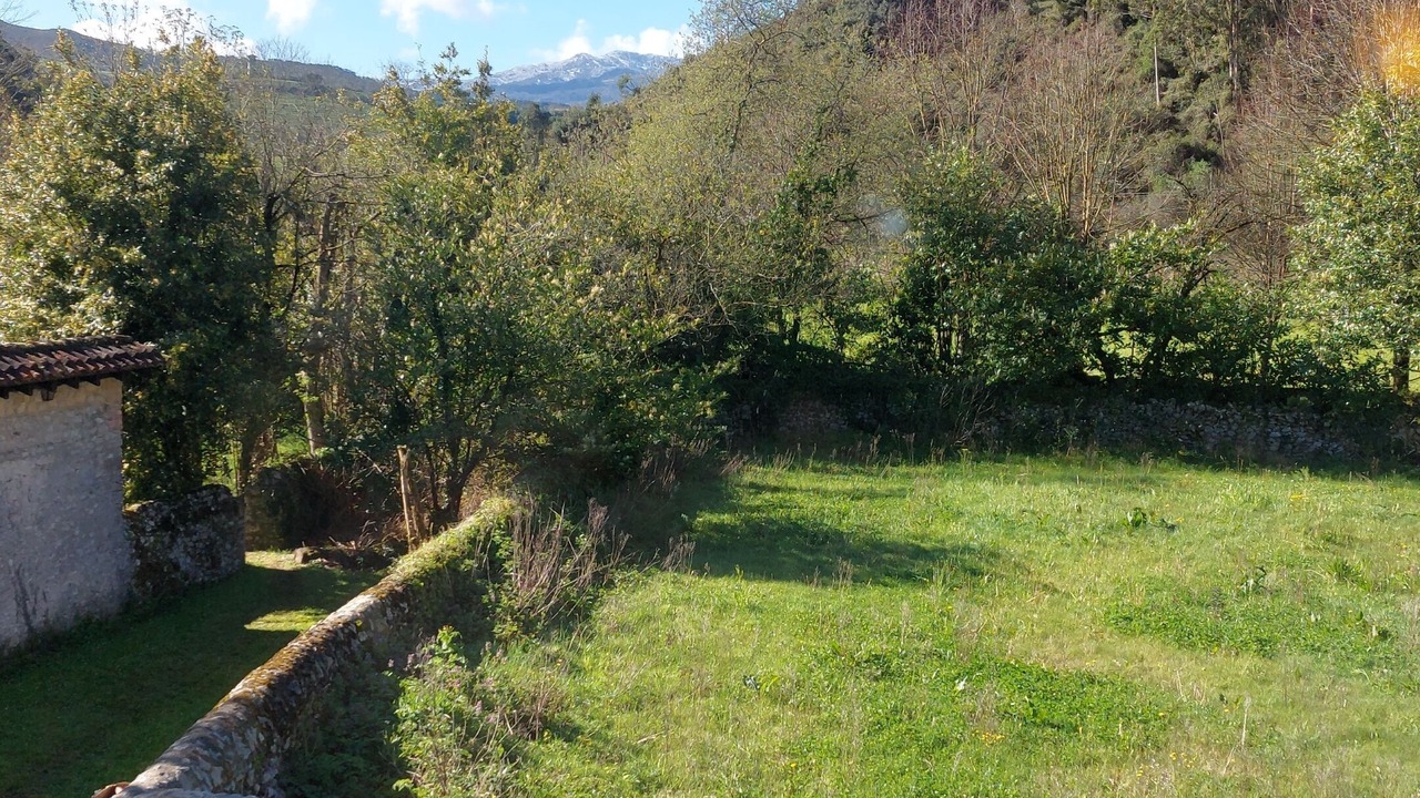 Photo of Outdoor in Ribadedeva