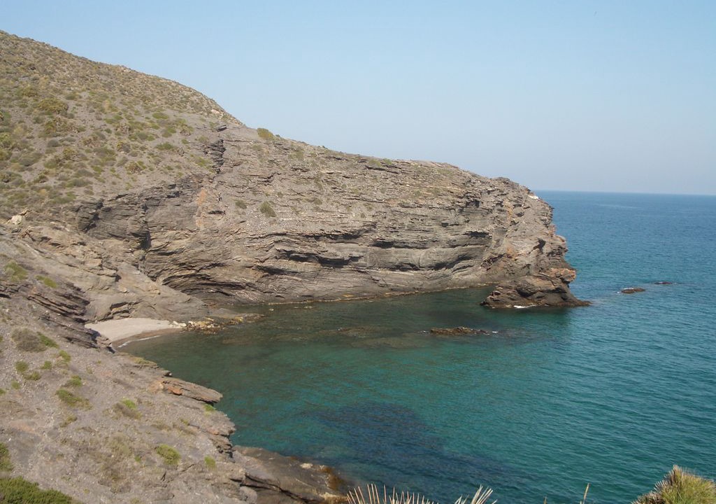 Photo of Others in Atamaria