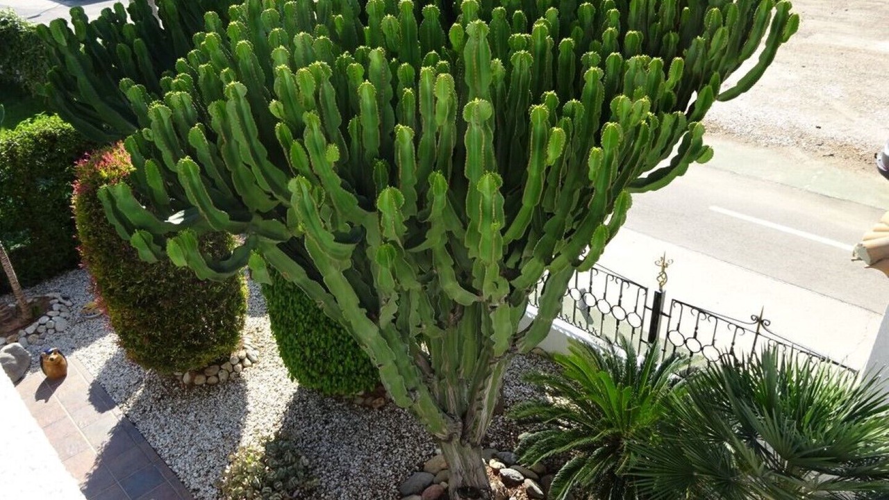 Photo of Outdoor in Puerto Rey
