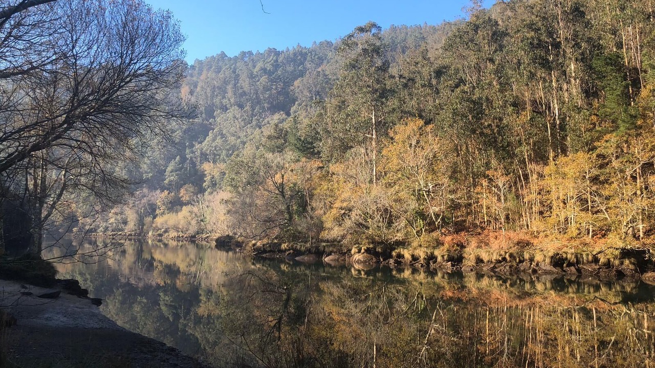 Photo of Others in Pontedeume