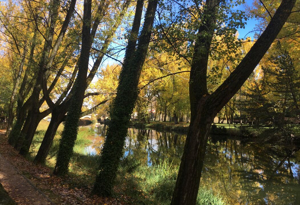 Photo of Outdoor in Soria