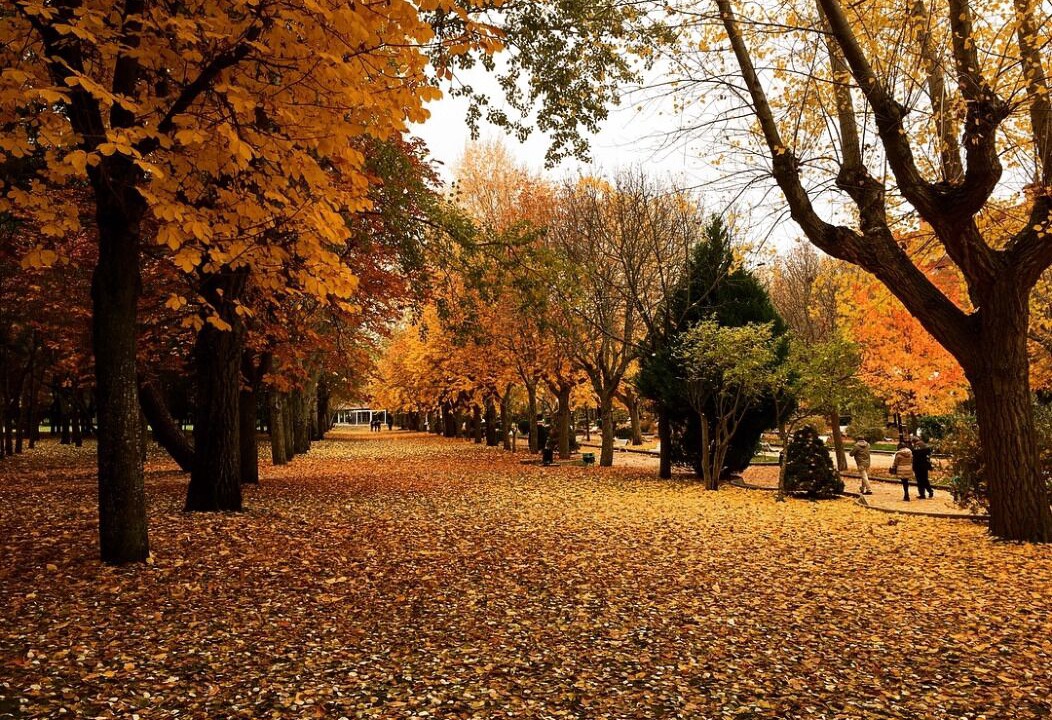 Photo of Outdoor in Soria