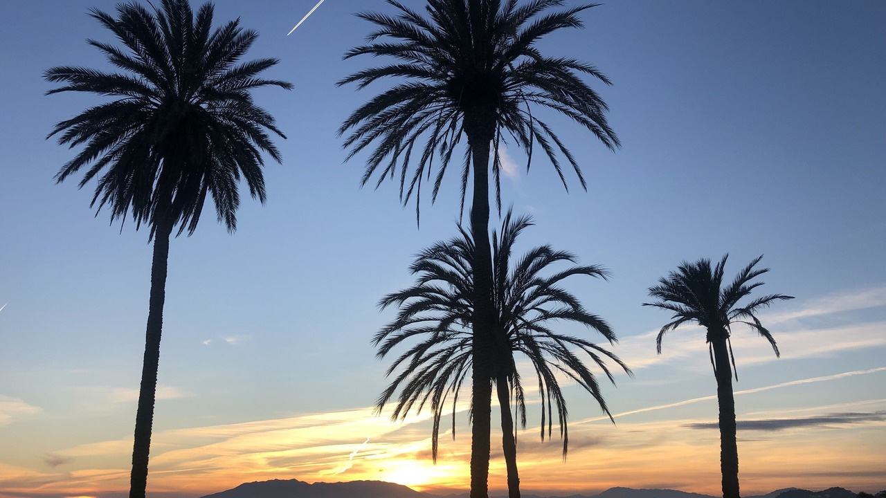 Photo of Others in Malaga-Este