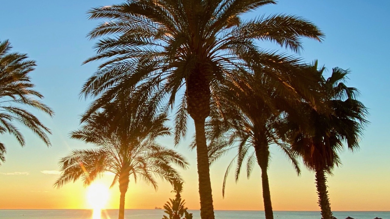 Photo of Others in Malaga-Este
