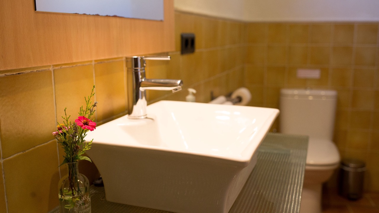 Photo of Bathroom in Sant Marti de Llemena Girona