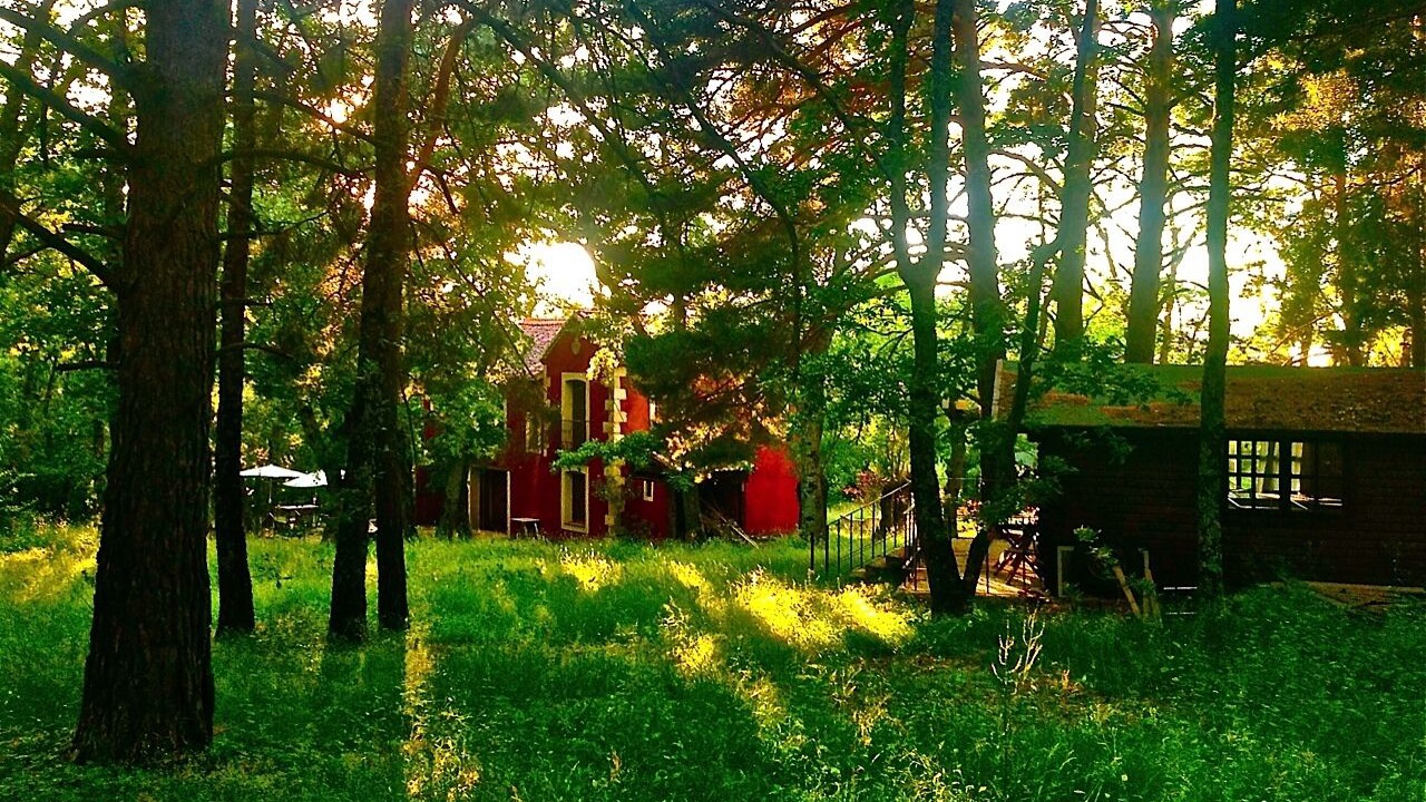 Photo of Outdoor in Collado Hermoso