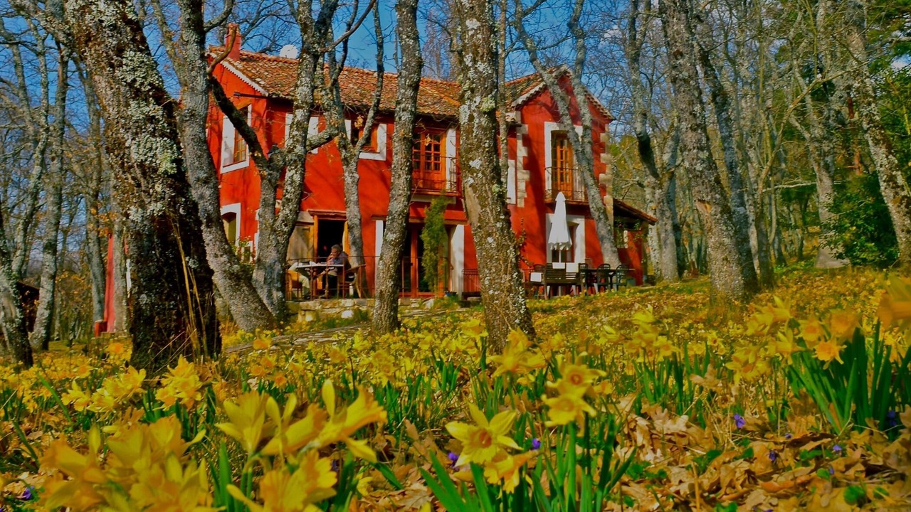 Photo of Outdoor in Collado Hermoso