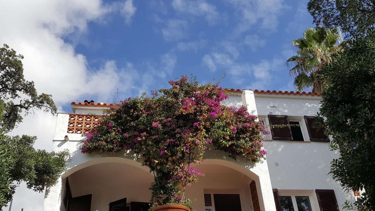 Photo of Outdoor in Canyelles