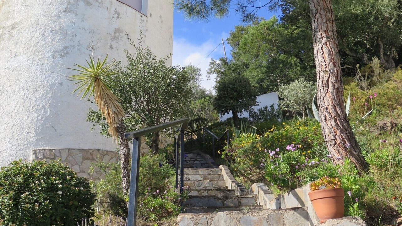 Photo of Others in El Mas Fumats