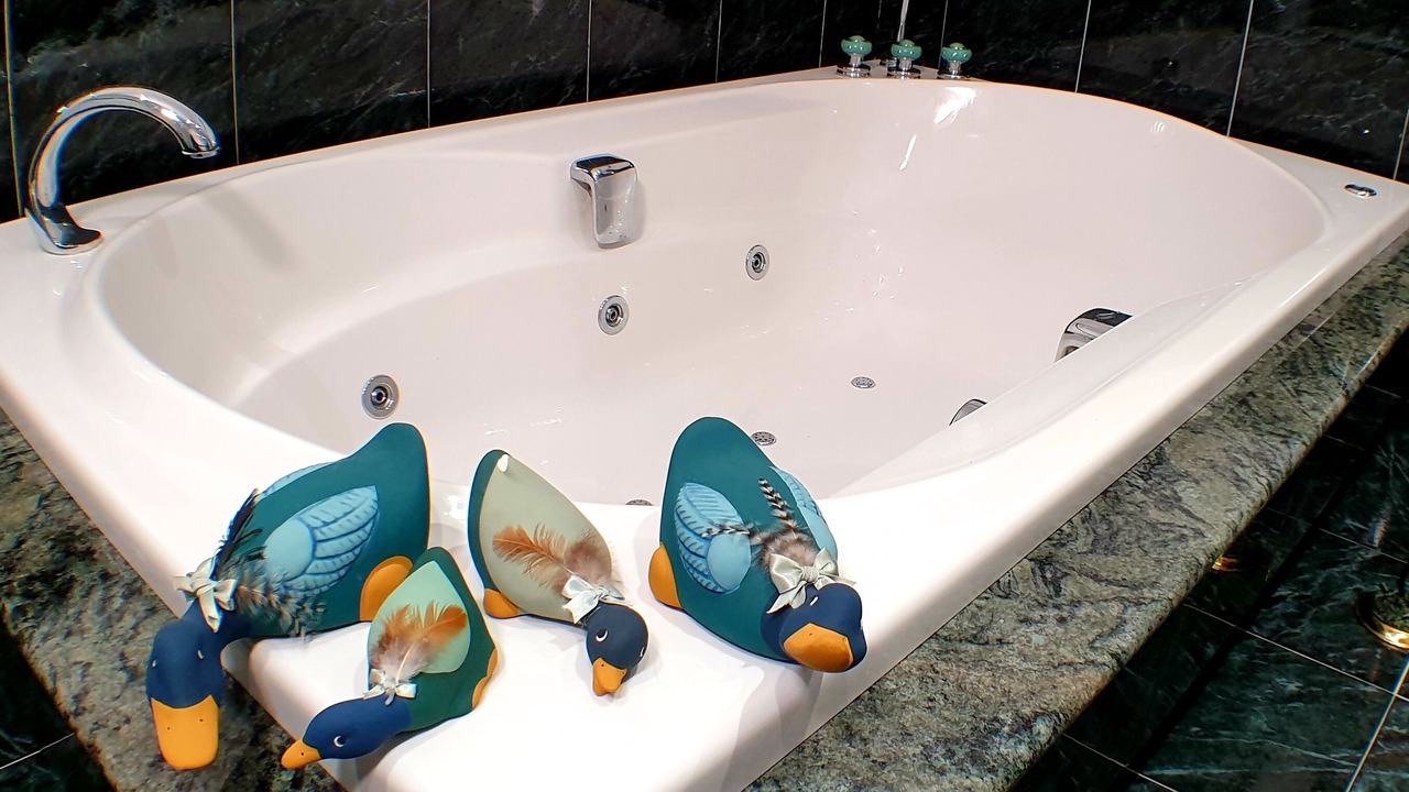 Photo of Bathroom in Baralla