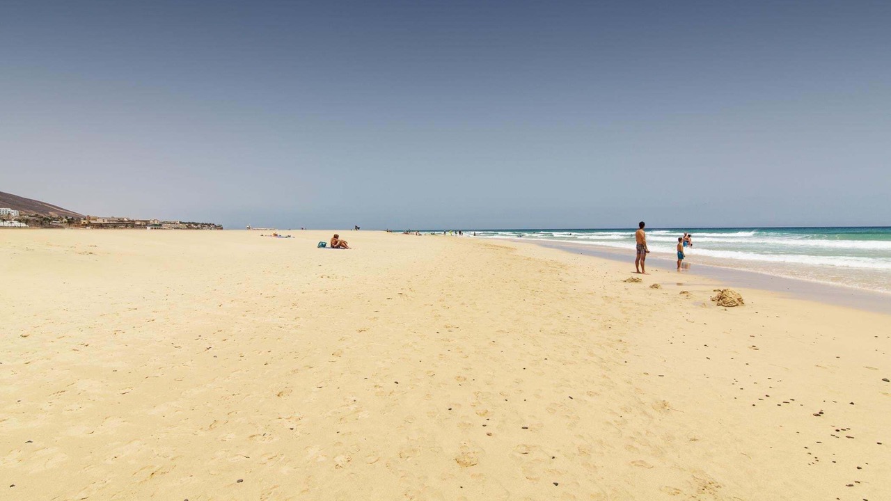 Photo of Others in Solana del Matorral