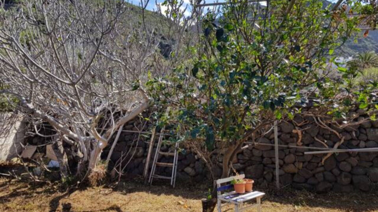 Photo of Outdoor in Punta del Hidalgo