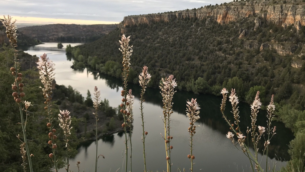 Photo of Outdoor in Fuenterrebollo