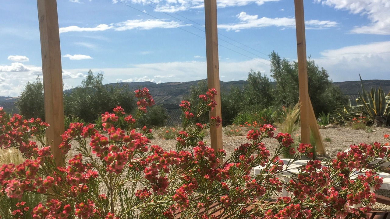 Photo of Outdoor in Moclin