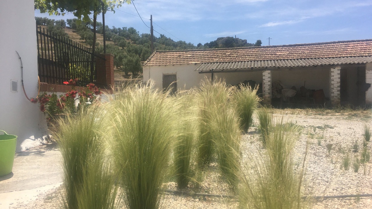 Photo of Outdoor in Moclin