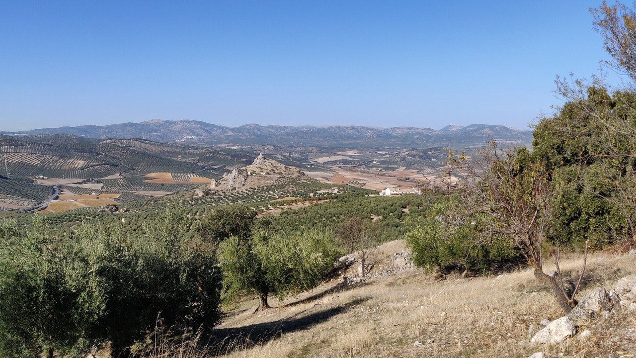 Photo of Outdoor in Moclin