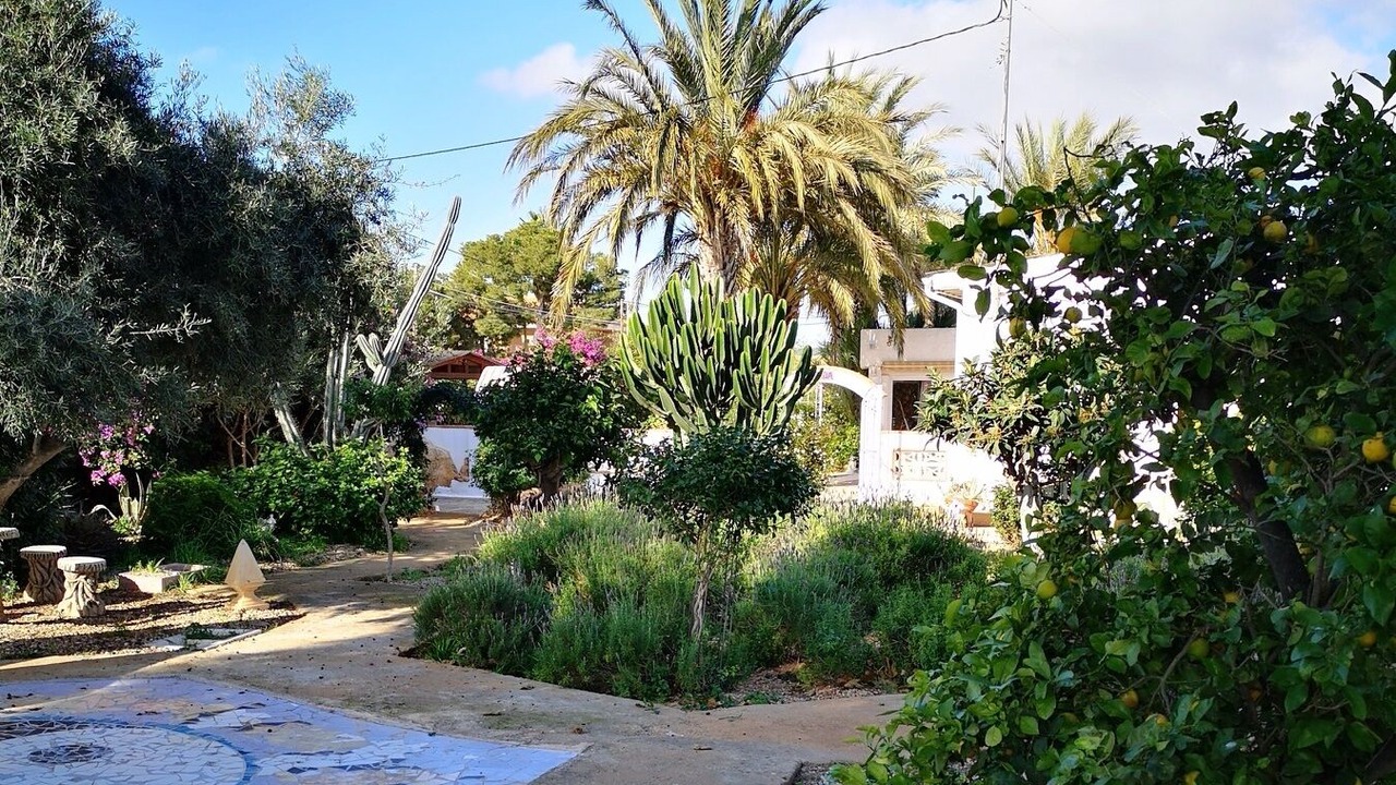 Photo of Outdoor in Casas de Tallante
