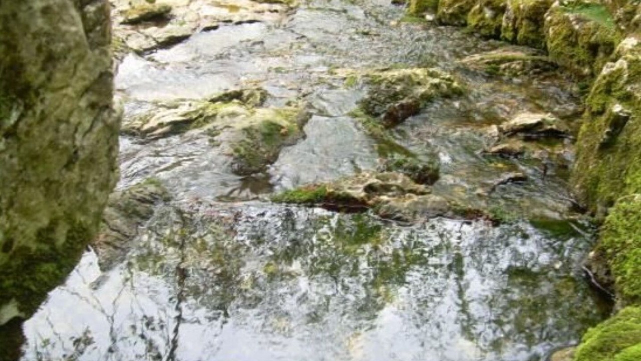 Photo of Outdoor in Celucos
