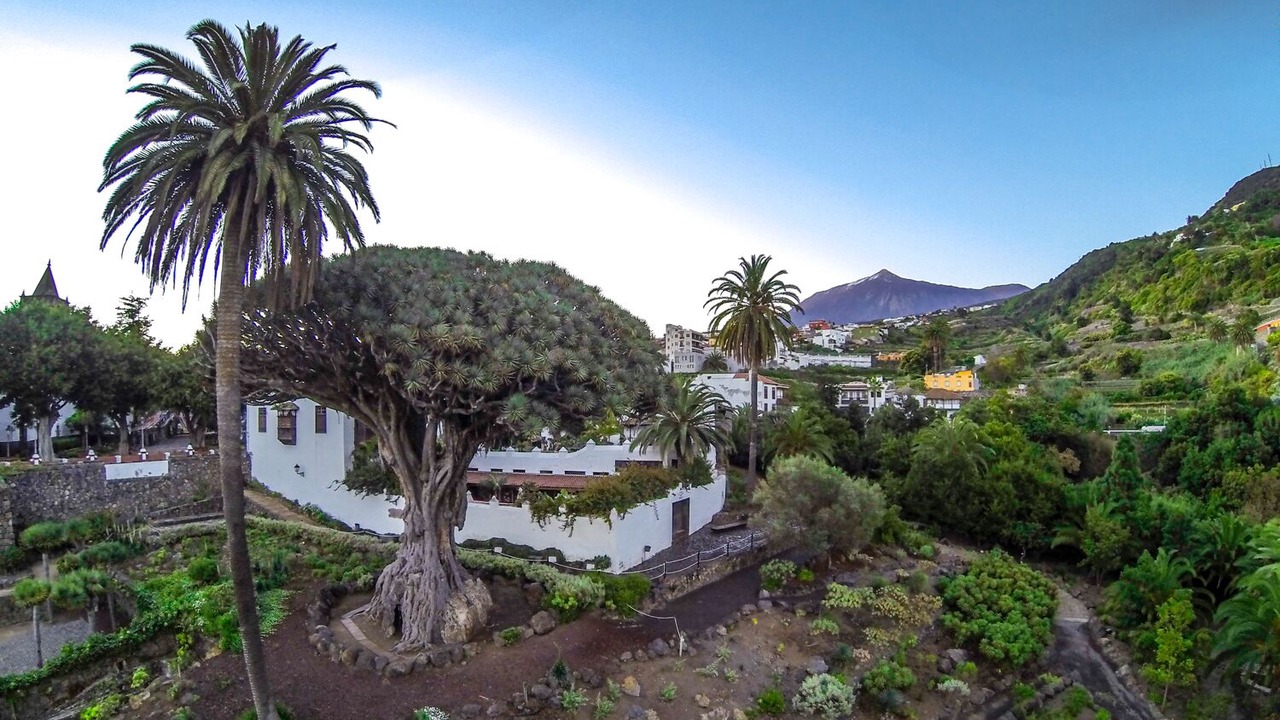 Photo of Outdoor in San Marcos
