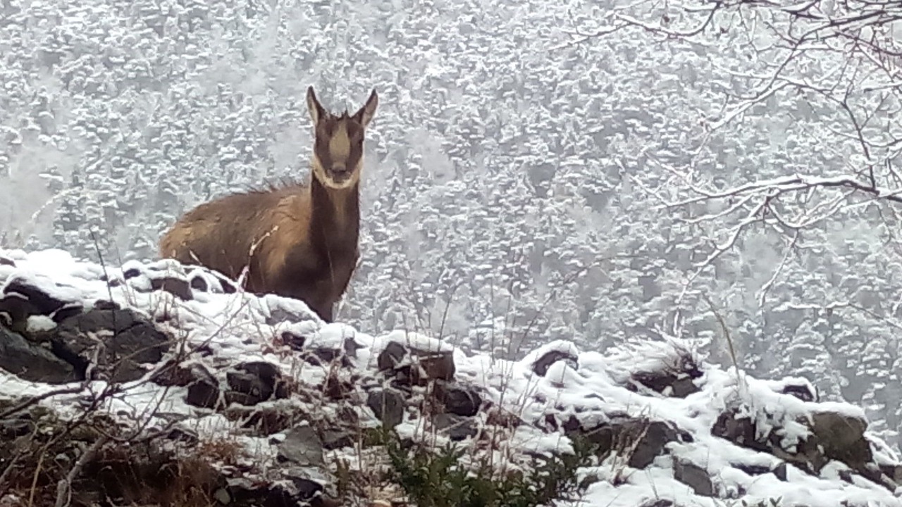 Photo of Outdoor in Torla