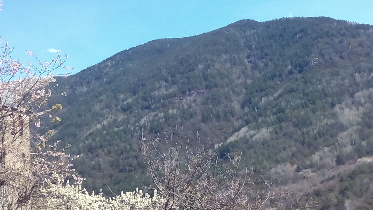 Photo of Others in Torla