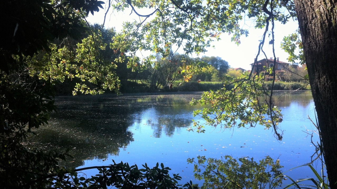 Photo of Outdoor in Rumoroso