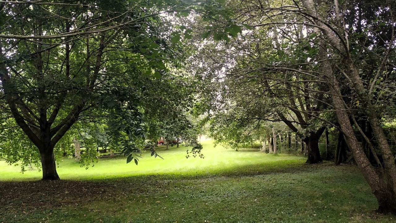 Photo of Outdoor in Rumoroso