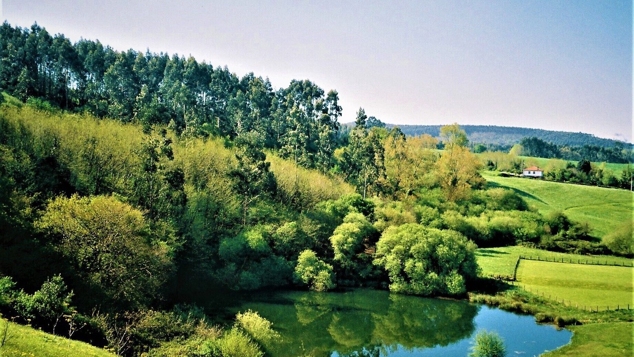 Photo of Outdoor in Rumoroso
