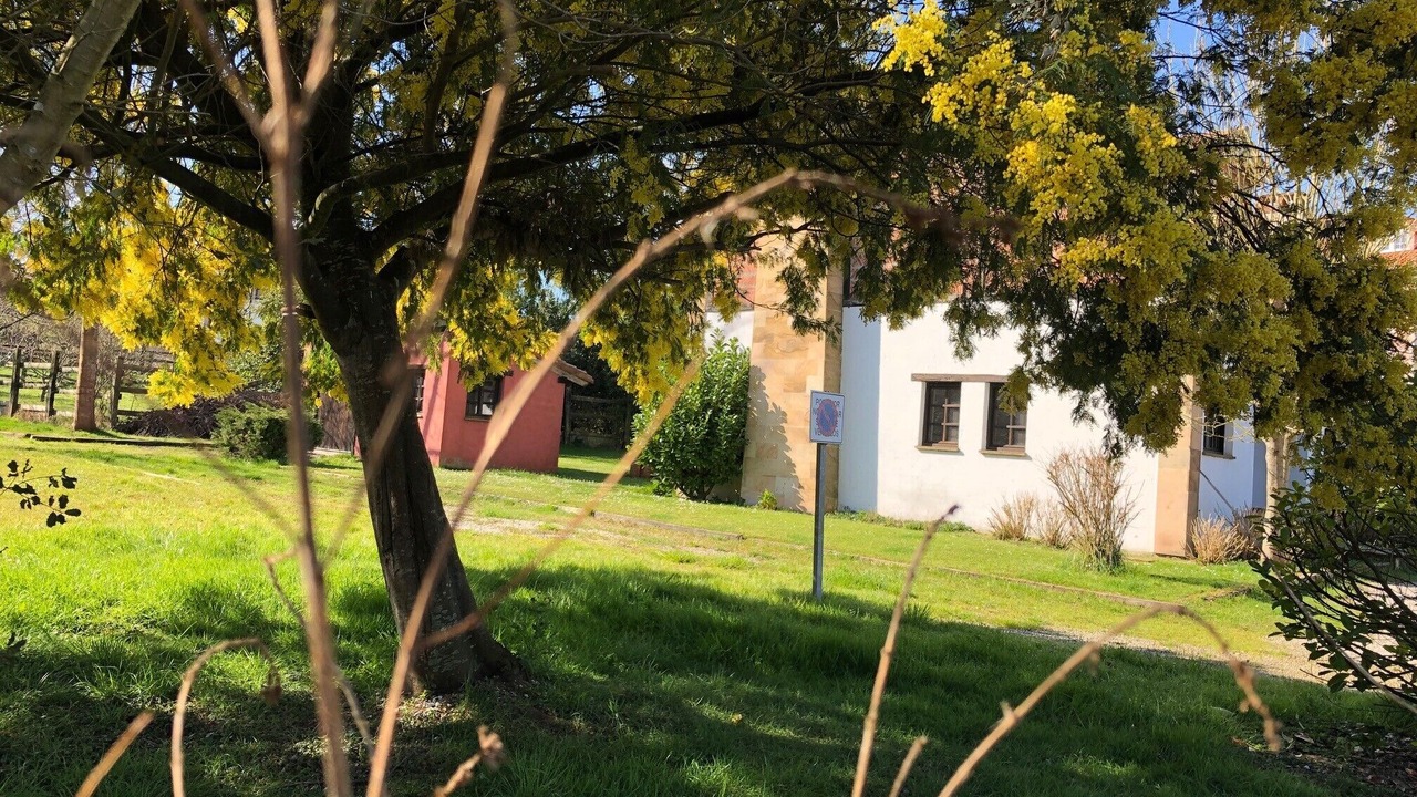 Photo of Outdoor in Rumoroso