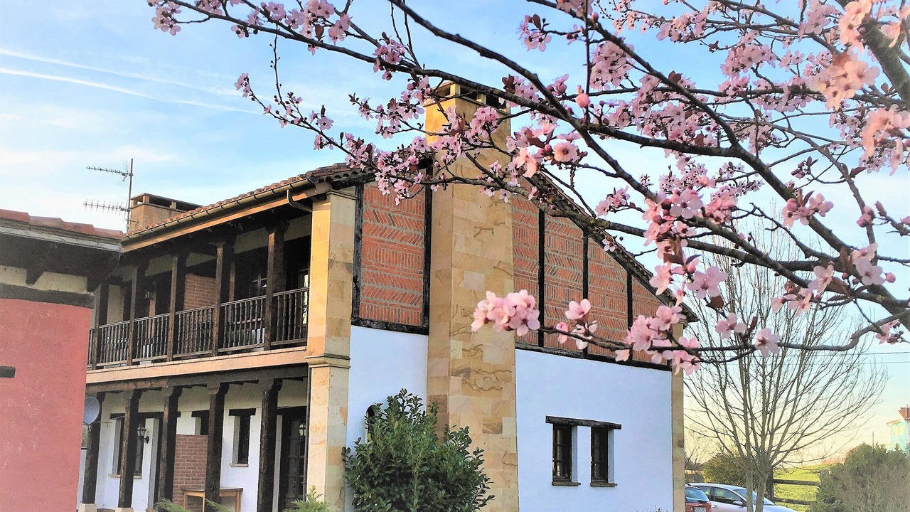 Photo of Outdoor in Rumoroso