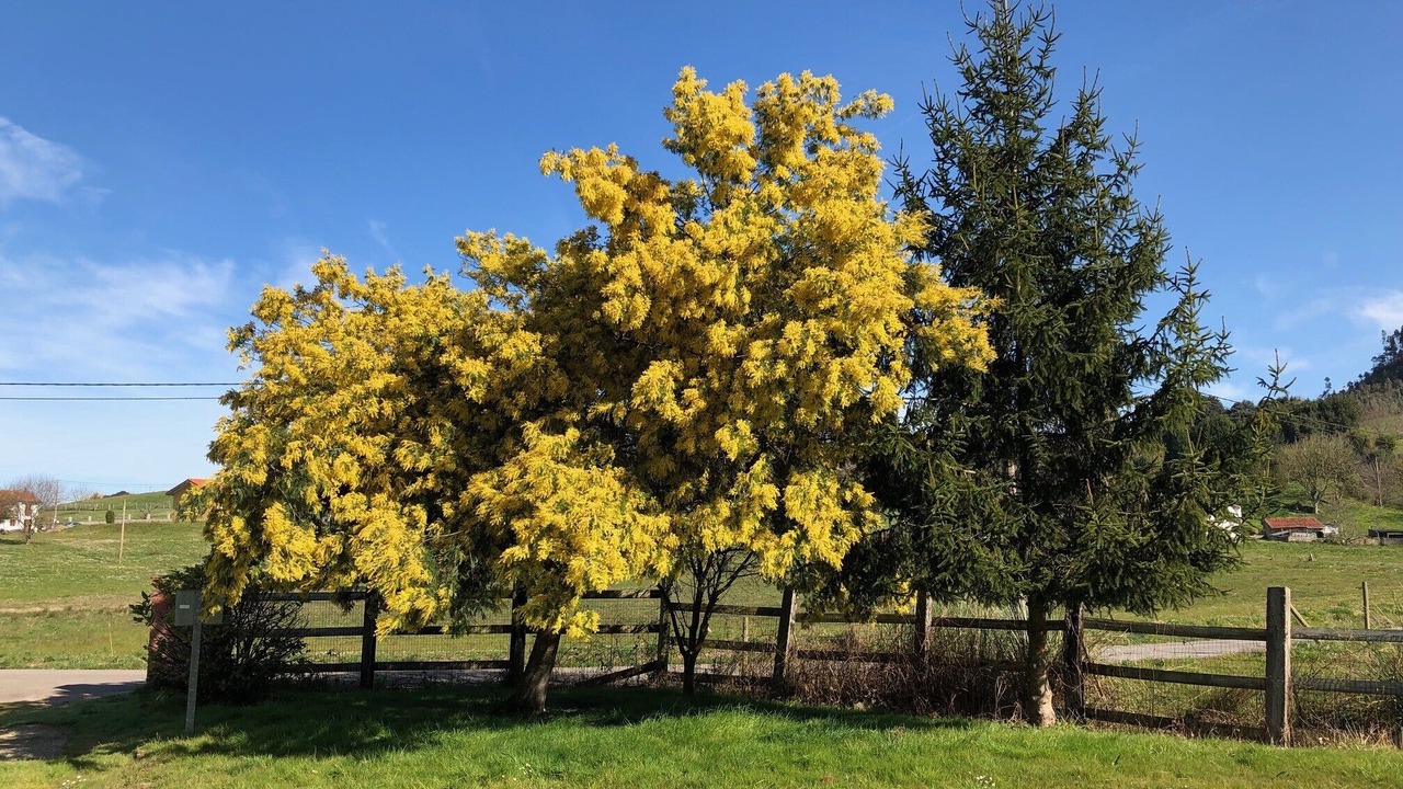 Photo of Outdoor in Rumoroso