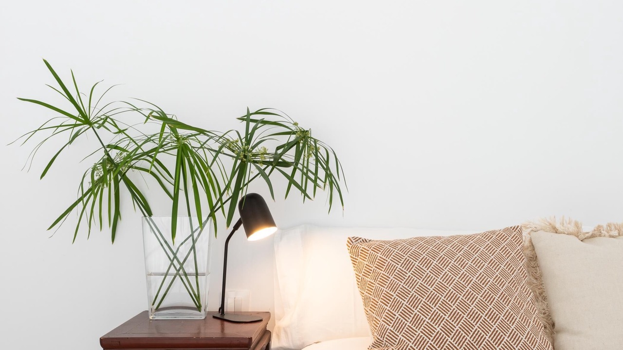 Photo of Bedroom in Santa Cruz de Tenerife