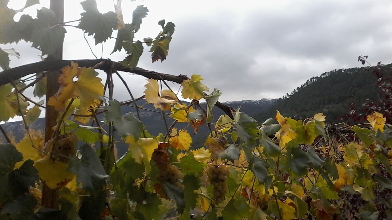 Photo of Outdoor in Riopar