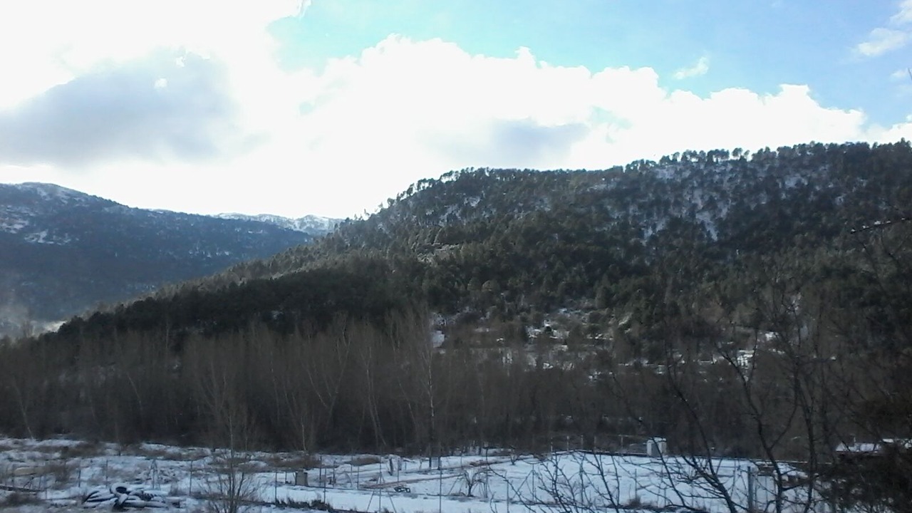 Photo of Others in Riopar