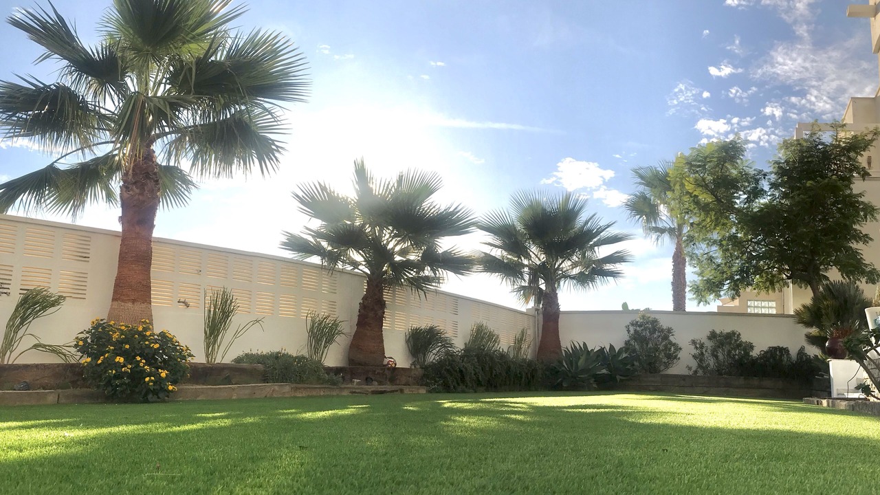 Photo of Outdoor in San Jose