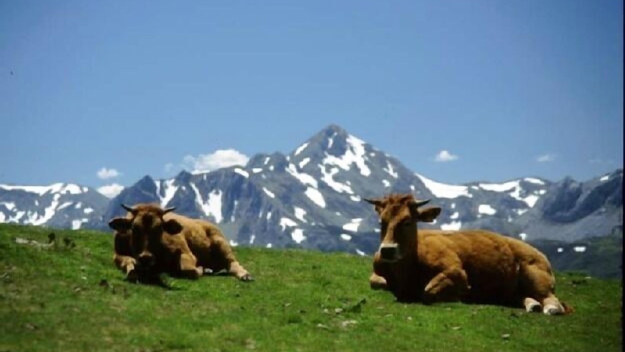 Photo of Outdoor in Caunedo