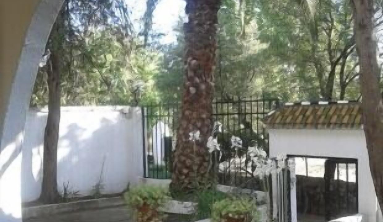 Photo of Outdoor in Tejeda de Tietar