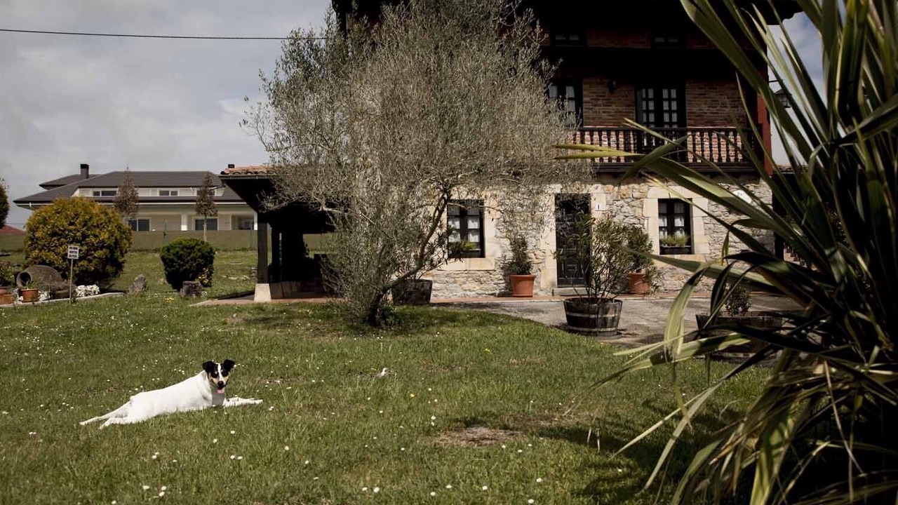 Photo of Outdoor in Mijares