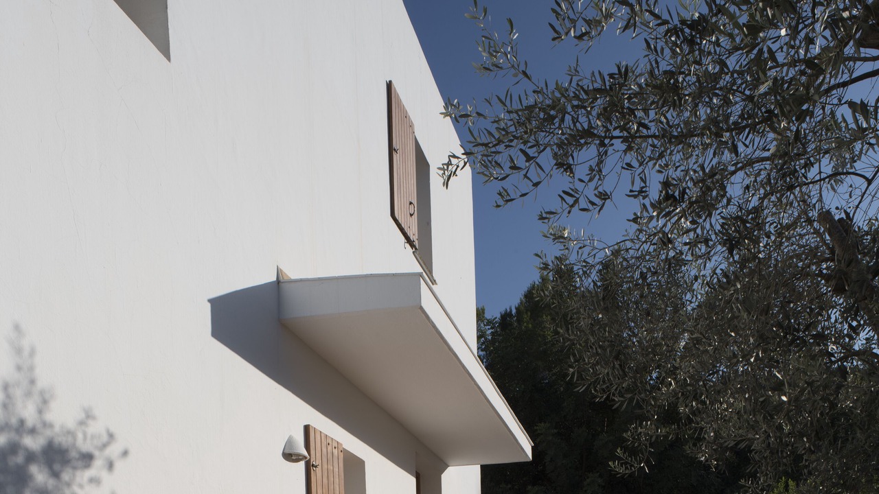 Photo of Outdoor in Sant Carles de Peralta