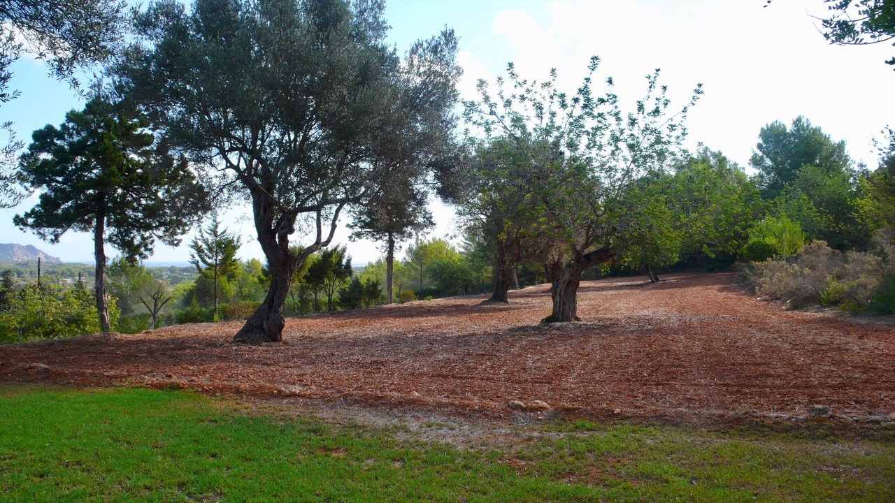 Photo of Outdoor in Sant Carles de Peralta
