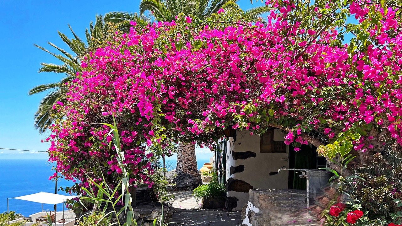 Photo of Outdoor in El Jesus