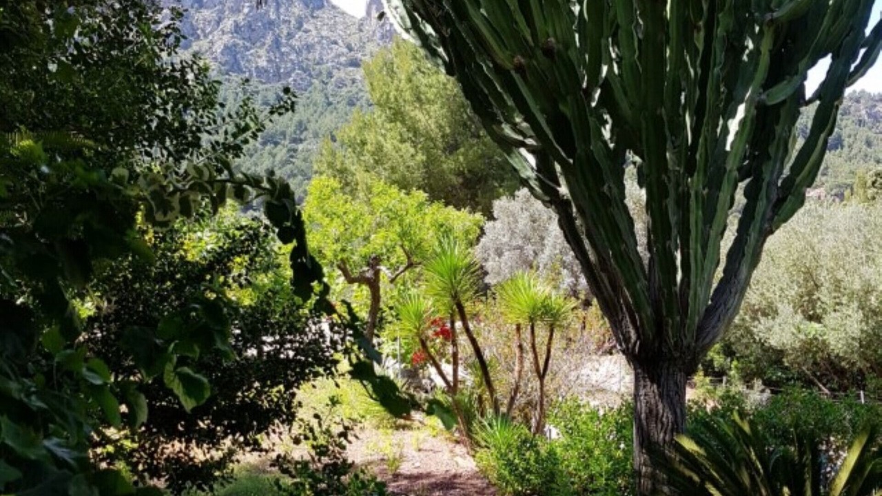Photo of Outdoor in Escorca